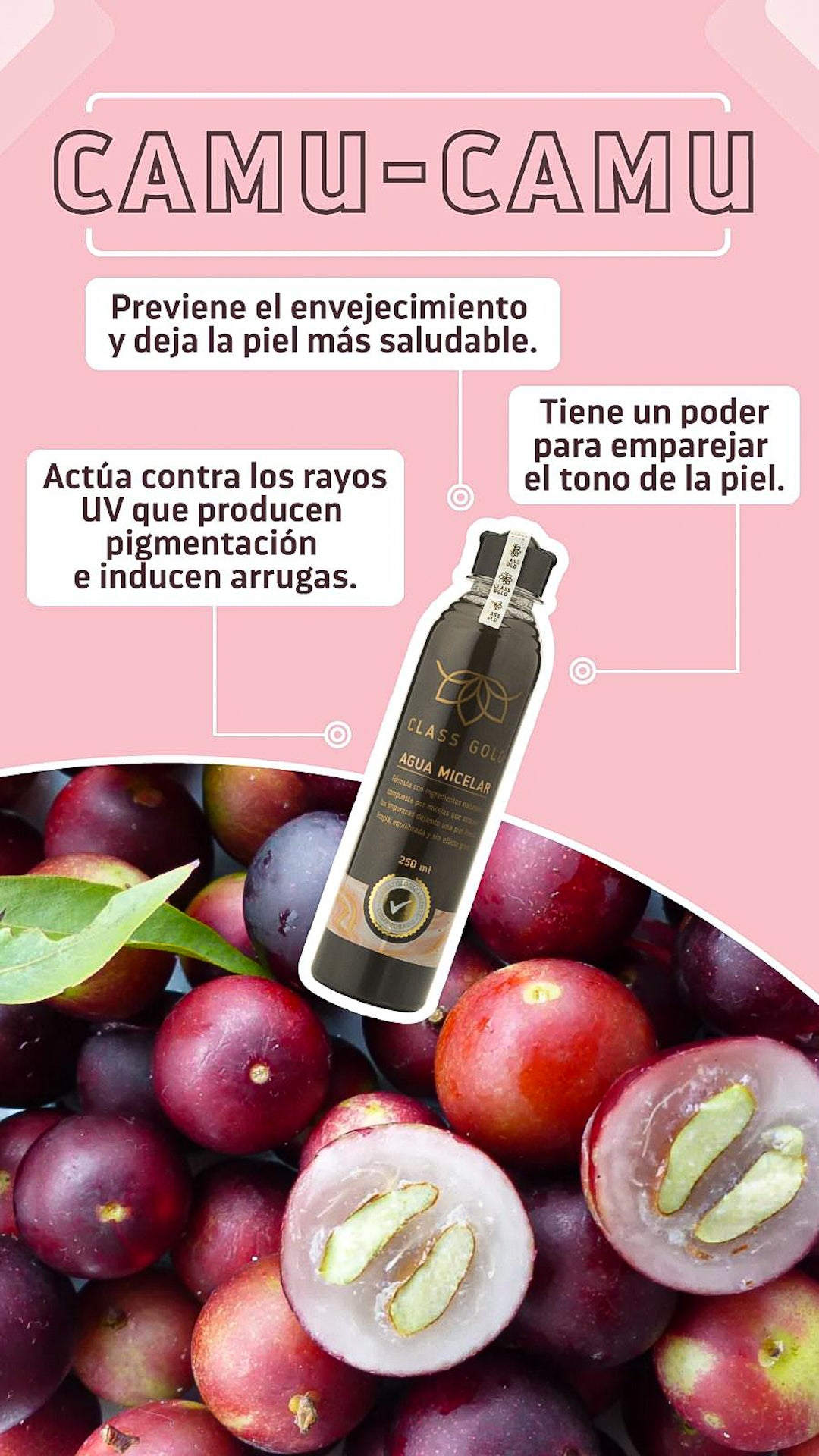 Agua Micelar