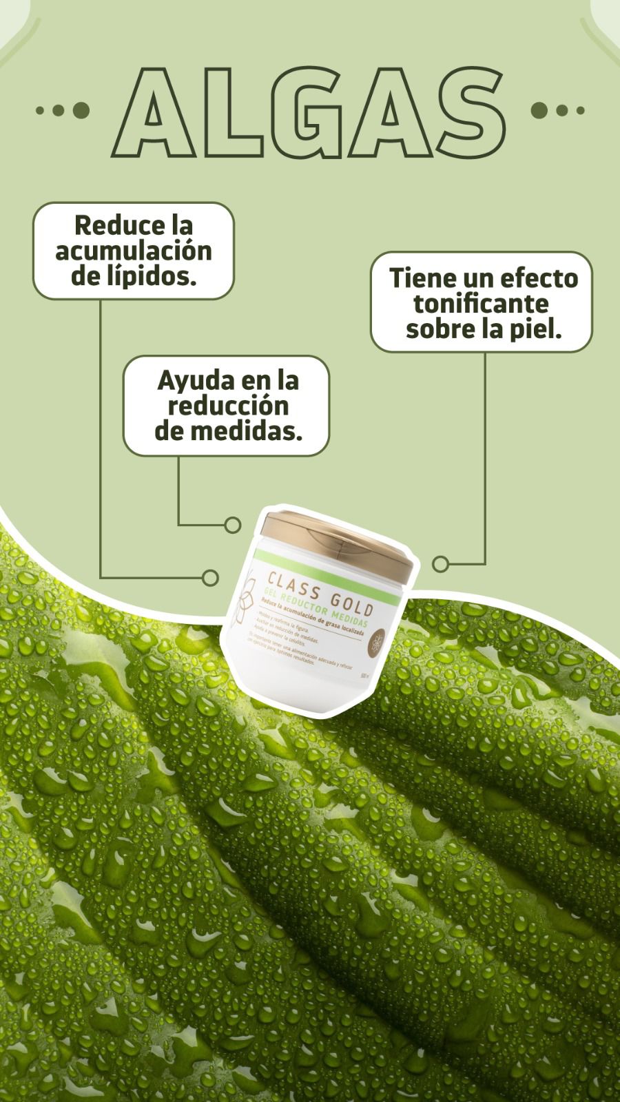 Gel Corporal
